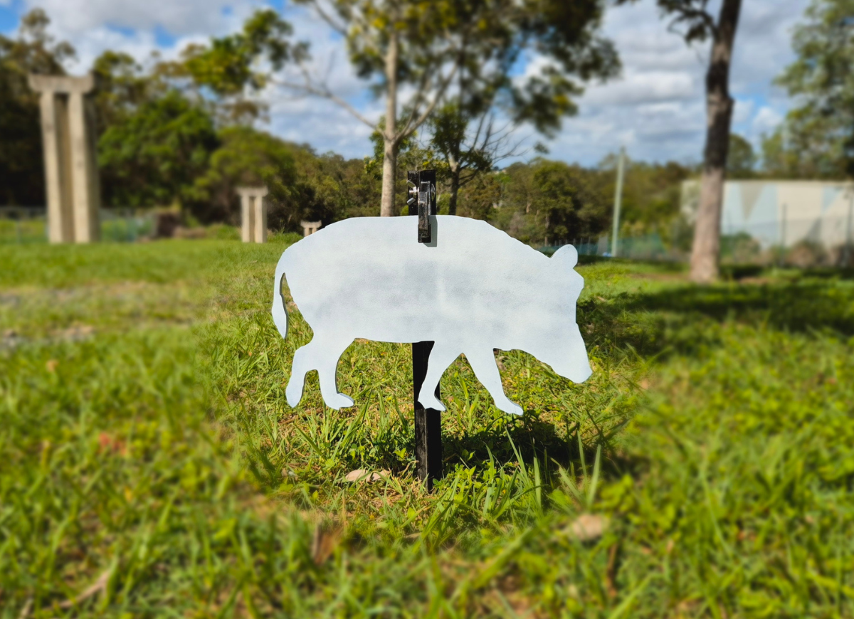 Arrakis Targets - Pig - Rimfire - 1/3 Scale - 1